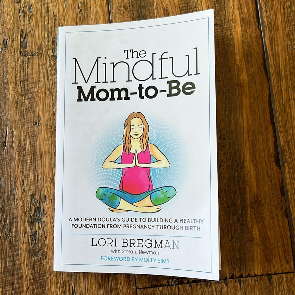 The mindful mom to be by Lori Bregman